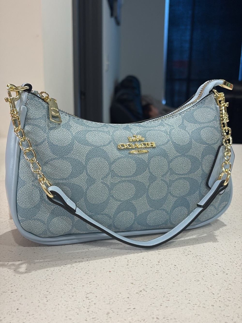 Coach Light Blue Signature Jacquard Chain Shoulder Bag
